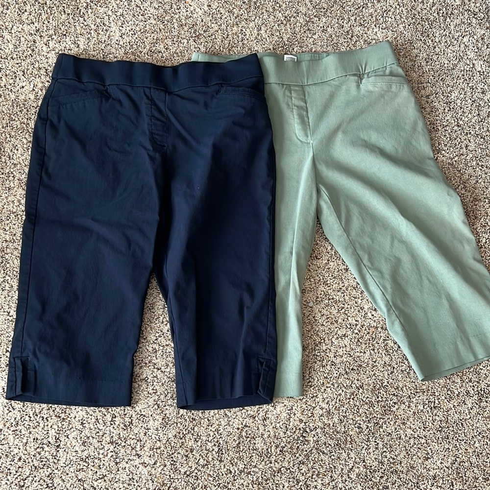 Laura Scott Dress Capris size Medium